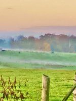 Comforting Cards 01 - Image 2